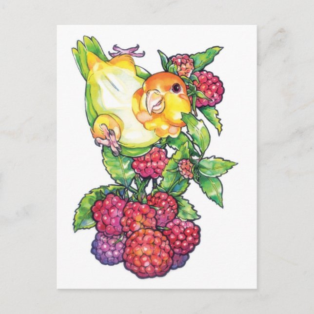 Caique mit Himbeere Postkarte (Vorderseite)