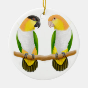 Caique-Papageien-Liebe-Verzierung Keramikornament