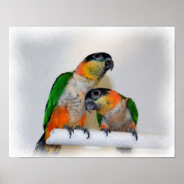 Caique Parrot Pair Aquarell Foto Malerei Poster