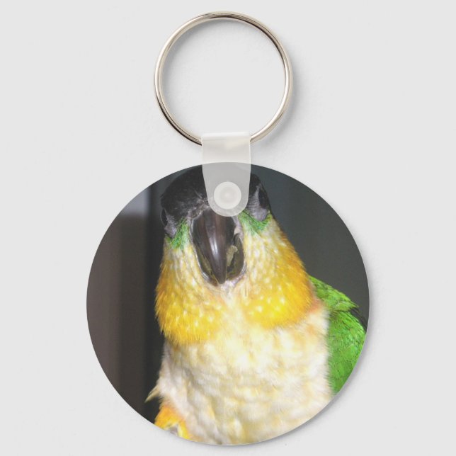 Caique Schlüsselanhänger (Vorderseite)