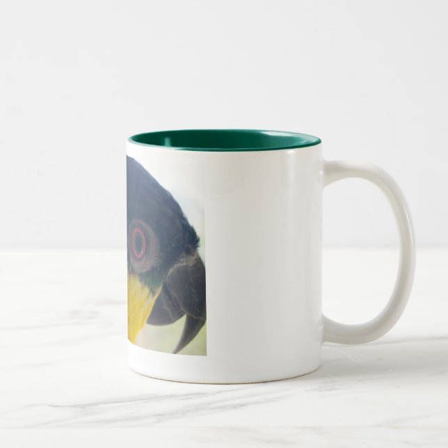 Caique-Tasse Zweifarbige Tasse (Rechts)