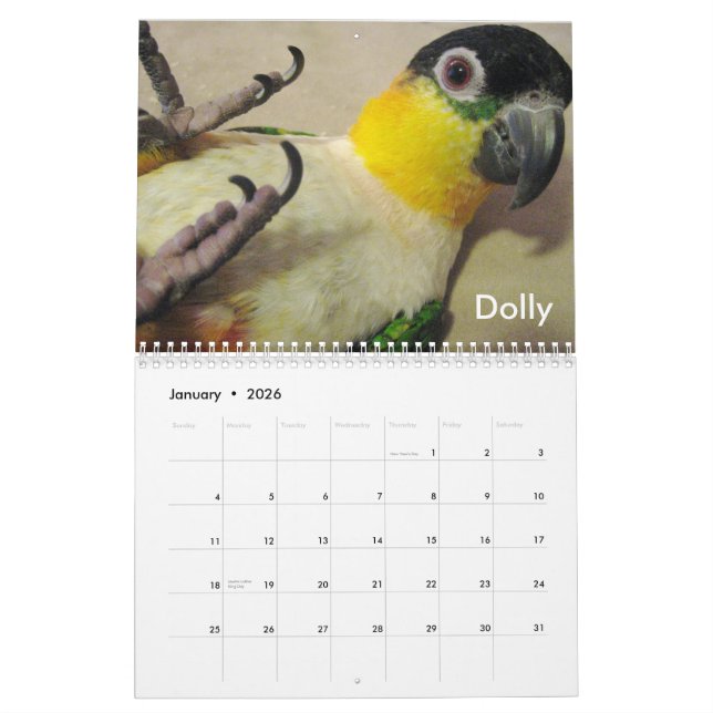 Caique-verrückter Kalender 2011 (Jan 2026)