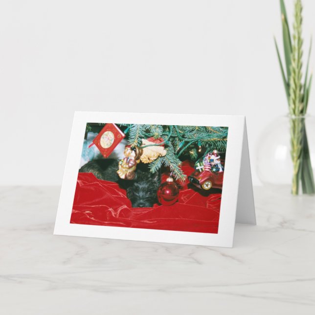 Cairn Christmas Feiertagskarte (Vorderseite)