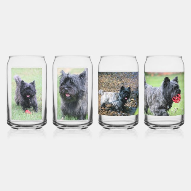 Cairn Dosenglas (Vorderseite)