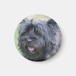 Cairn Magnet