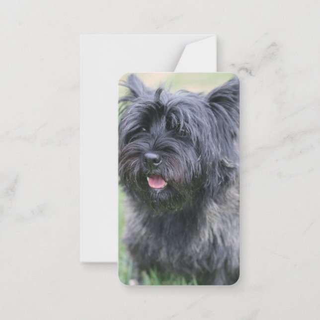 Cairn Mitteilungskarte (Vorderseite)