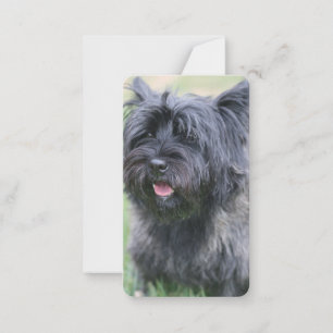 Cairn Mitteilungskarte