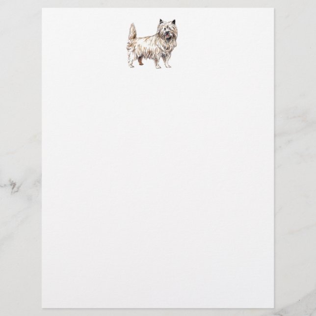 Cairn Terrier (Vorderseite)