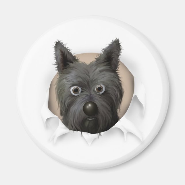 Cairn Terrier 2 Buout Magnet (Vorne)