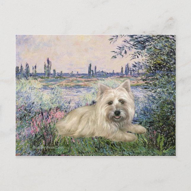 Cairn Terrier 4 - An der Seine Postkarte (Vorderseite)