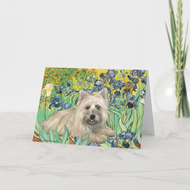 Cairn Terrier 4 - Irische Karte (Vorderseite)