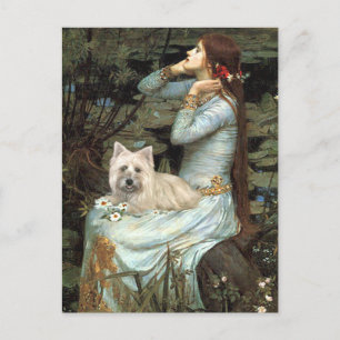 Cairn Terrier 4 - Ophelia Sitzplätze Postkarte