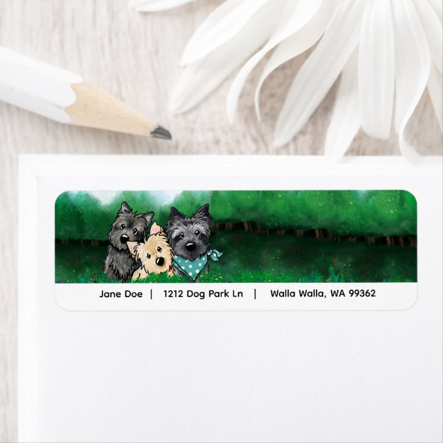 Cairn Terrier-Adresse (Insitu)