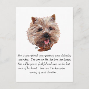 Cairn Terrier Andenken - WEIBLICH Postkarte