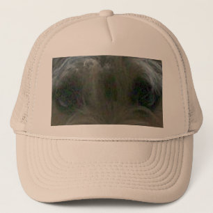 Cairn Terrier Augen Truckerkappe