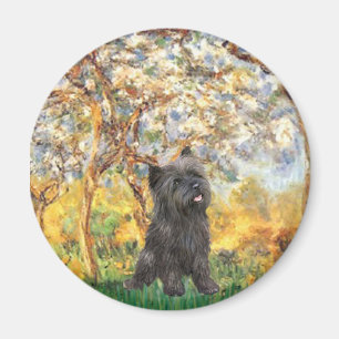 Cairn Terrier (Brindle 21) - Frühling Magnet