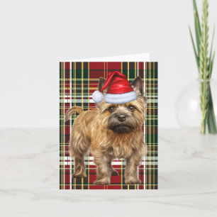 Cairn Terrier Christmas Dog Karierte Weihnachten