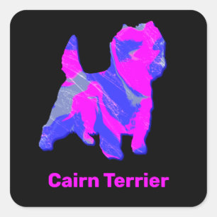 Cairn Terrier Dog Hot Pink & Blue Quadratischer Aufkleber