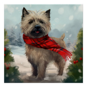 Cairn Terrier Dog im Schnee Weihnachten Poster