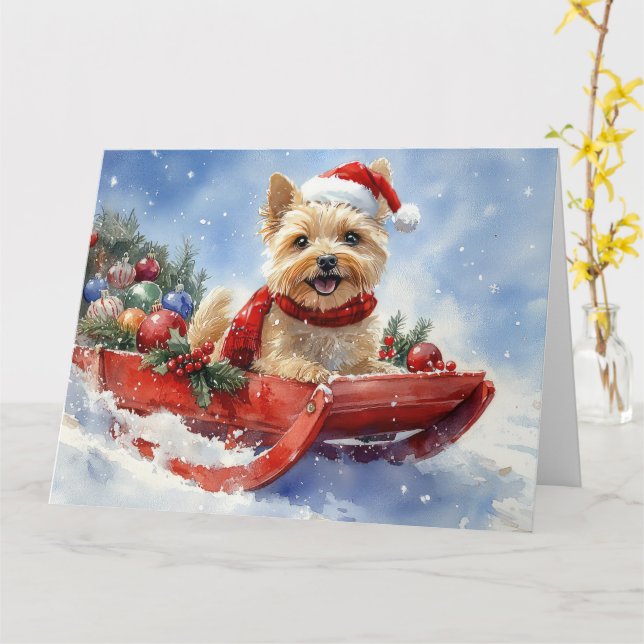 Cairn Terrier Dog in Sledge Let it Schnee Weihnach Karte (Gelbe Blume)