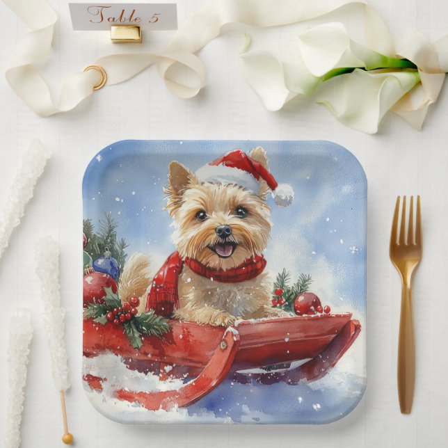 Cairn Terrier Dog in Sledge Let it Schnee Weihnach Pappteller (Hochzeit)