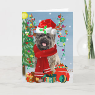 Cairn Terrier Dog in Snow mit Weihnachtsgeschenken Karte