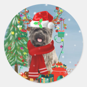 Cairn Terrier Dog in Snow mit Weihnachtsgeschenken Runder Aufkleber