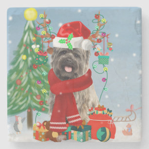 Cairn Terrier Dog in Snow mit Weihnachtsgeschenken Steinuntersetzer