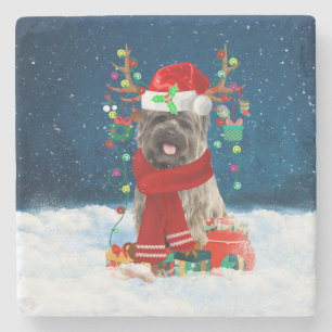 Cairn Terrier Dog in Snow mit Weihnachtsgeschenken Steinuntersetzer