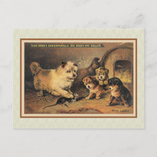 Cairn Terrier Dog und ihre Welpen Postkarte