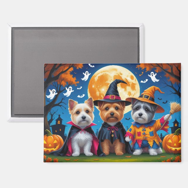 Cairn Terrier Dogs Pumpkin Halloween Funny Magnet (Vorderseite/Rückseite)