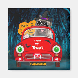 Cairn Terrier Driving Car Beängstigend Halloween Magnet