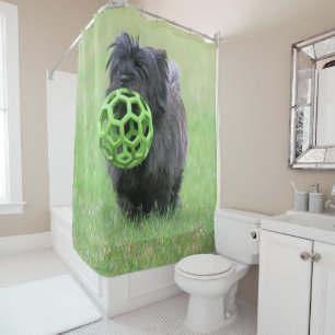 Cairn Terrier Duschvorhang