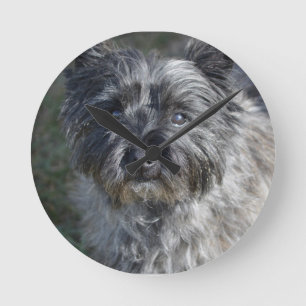 Cairn Terrier Face Runde Wanduhr