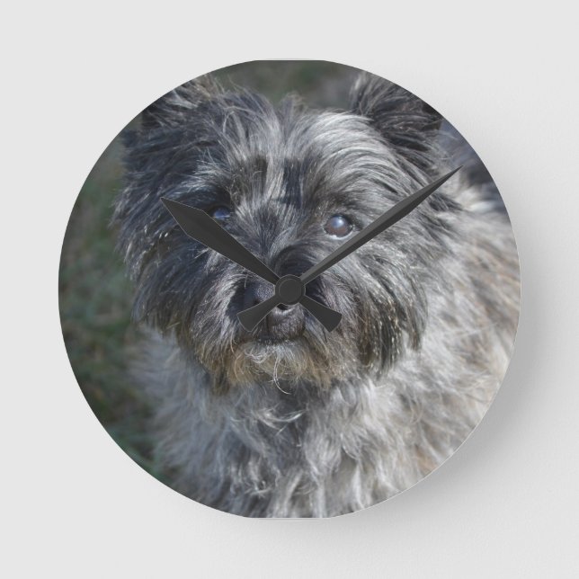 Cairn Terrier Face Runde Wanduhr (Vorderseite)