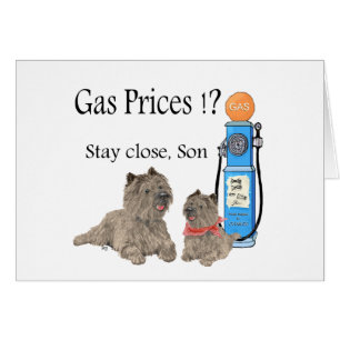 Cairn Terrier Gaspreise ?!!
