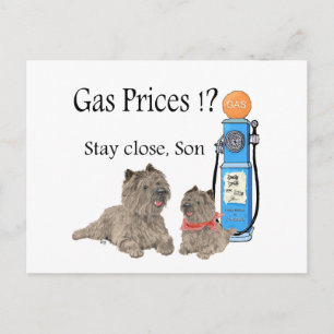 Cairn Terrier Gaspreise ?!! Postkarte