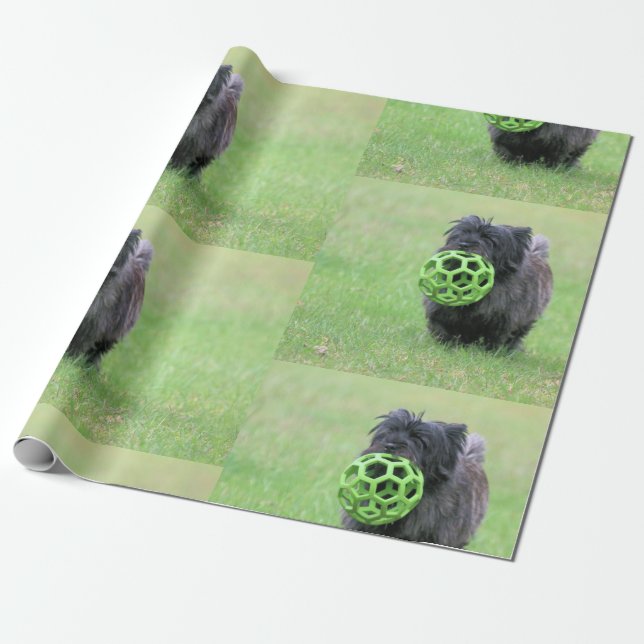 Cairn Terrier Geschenkpapier (Ungerollt)