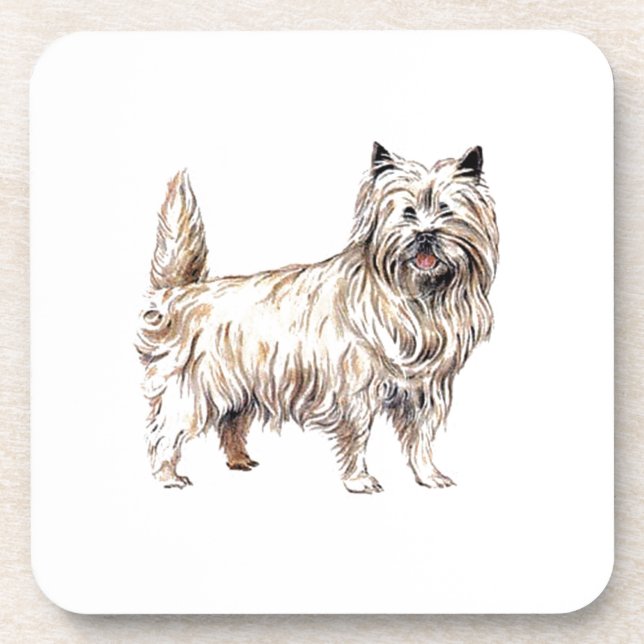Cairn Terrier Getränkeuntersetzer (Vorderseite)