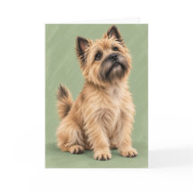 Cairn Terrier Grußkarte