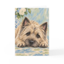 Cairn Terrier Grußkarte