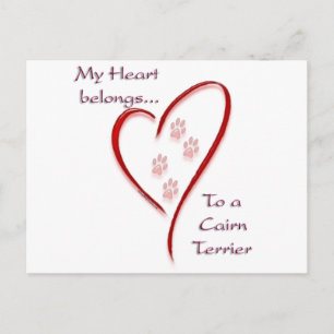 Cairn Terrier Heart Belongs Postkarte