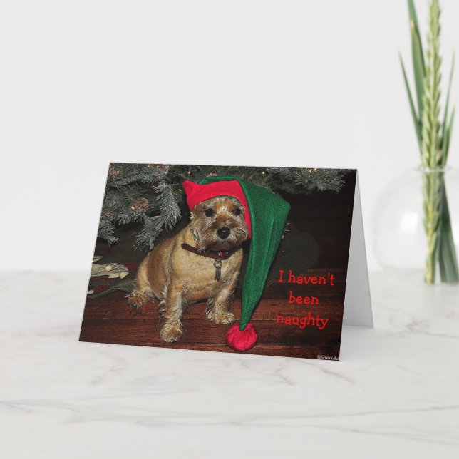 Cairn Terrier Holiday Card Feiertagskarte (Vorderseite)