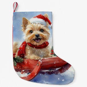 Cairn Terrier Hund im Schlitten Lass es schneien W Kleiner Weihnachtsstrumpf