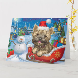 Cairn Terrier Hund im Schlitten Schnee Weihnachten Karte