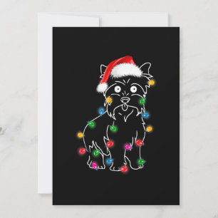 Cairn Terrier Hund Lichter Weihnachten passende Fa
