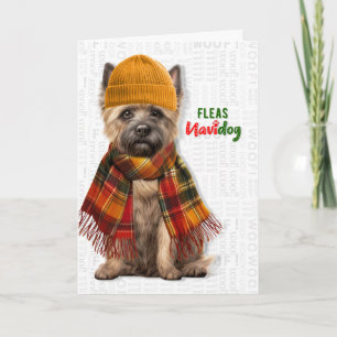 Cairn Terrier Hund Lustige Flöhe Navidog Weihnacht Feiertagskarte