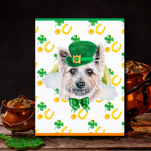 Cairn Terrier Hund Shamrock St. Patricks Tag Feiertagspostkarte