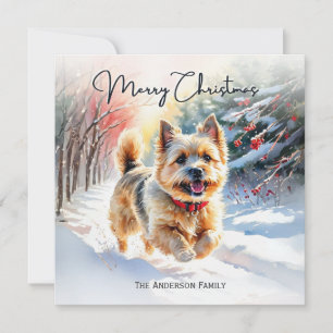 Cairn Terrier im Schnee Winter Frohe Weihnachten