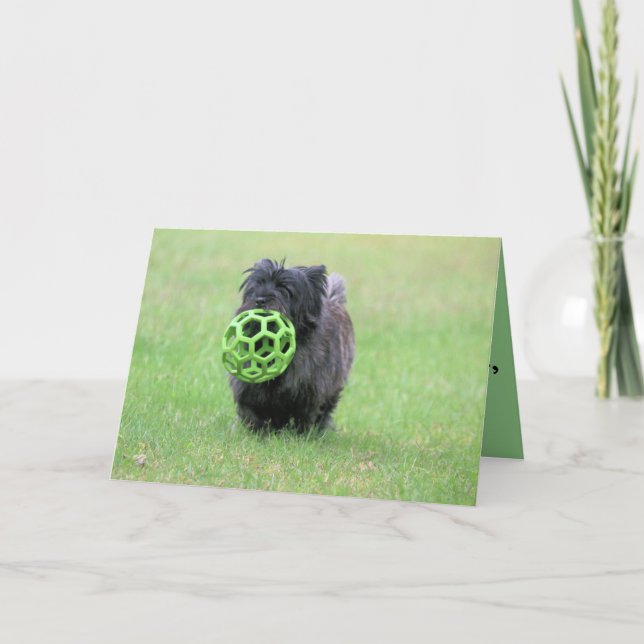 Cairn Terrier Karte (Vorderseite)